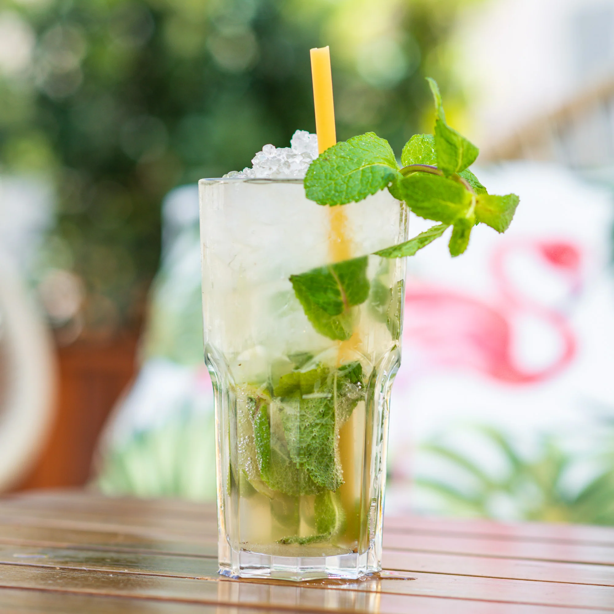 Virgin Mojito